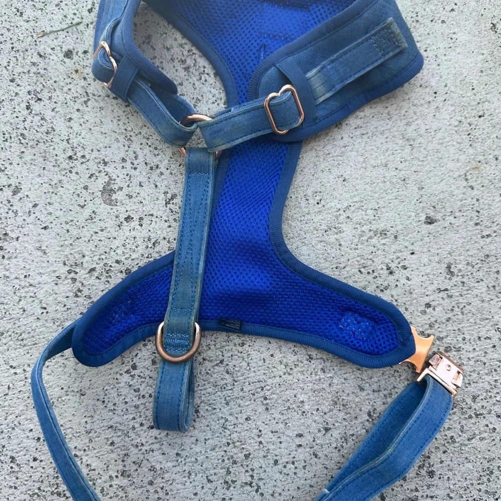 Sassy Woof Blue Dog Harness - Picture 3 of 3